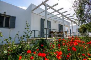 Pavlos House